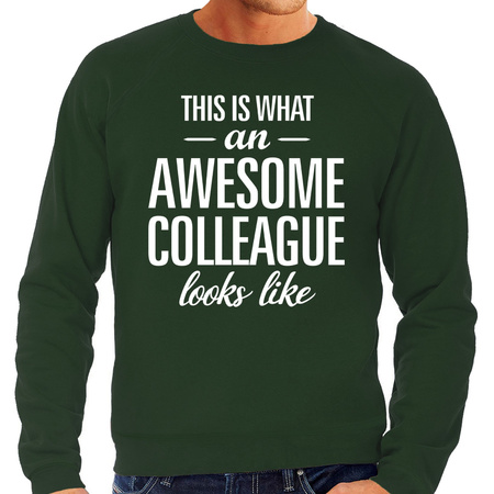 Awesome Colleague sweater green for men