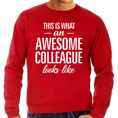 Awesome Colleague sweater red for men