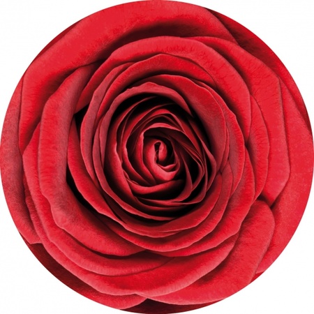 Bierviltjes onderzetters rode roos/rozen 50x stuks