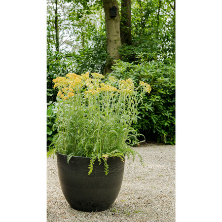 Flowerpot/plantpot plastic/stone powder black D45 and H38 cm
