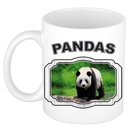 Dieren grote panda beker - pandas/ pandaberen mok wit 300 ml  