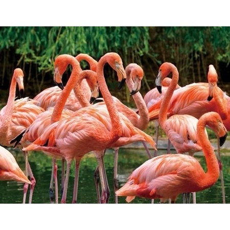 Dieren magneet 3D flamingo