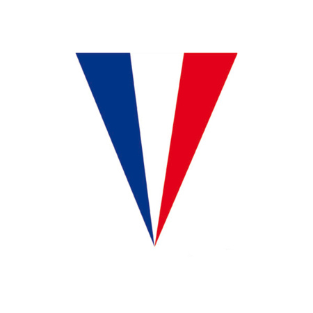 Frankrijk vlaggen versiering set binnen/buiten 3-delig
