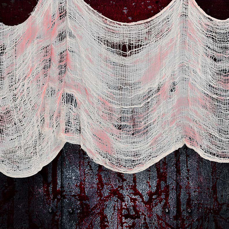 Horror/halloween deco wand/muur/plafond gordijn stof - wit/bloed - 76 x 228 cm - griezel uitstraling