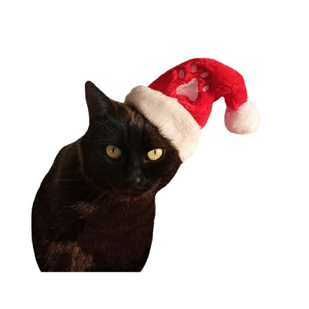 Kerstmuts rood - met speelgoed hengel - voor katten/poezen - kerstcadeau