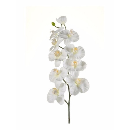 Kunstbloem Orchidee tak 100 cm wit