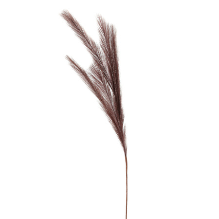 Artificial pampas grass branches - darkbrown - 80 cm