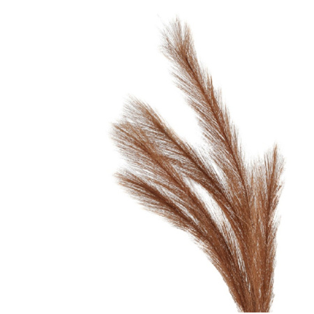 Artificial pampas grass branches - lightbrown - 80 cm