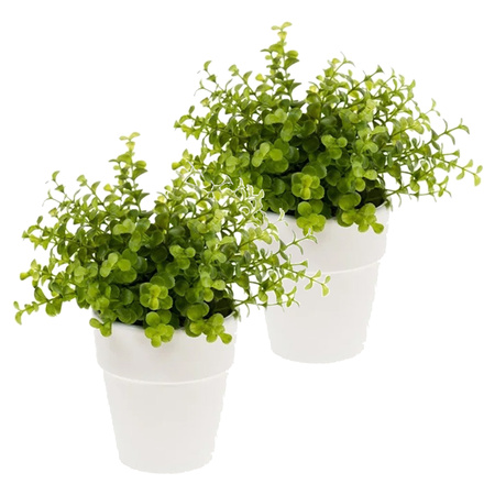Kunstplant eucalyptus -  groen - in witte pot - 22 cm