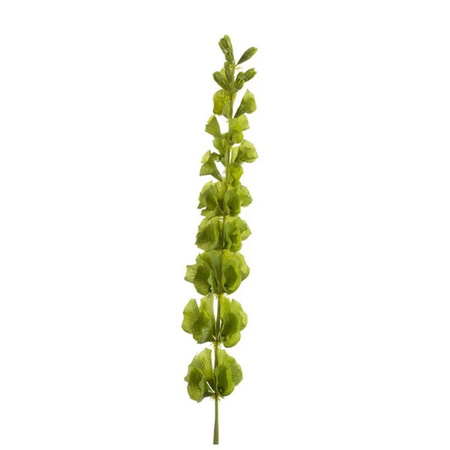 Kunstplant Molucella 80 cm groen - losse tak voor kunstbloemen boeket