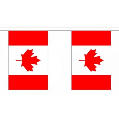 Luxe Canada vlaggenlijn 9 m