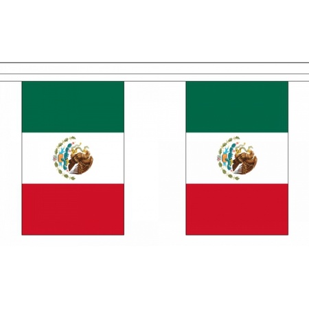 Luxe Mexico vlaggenlijn 9 m