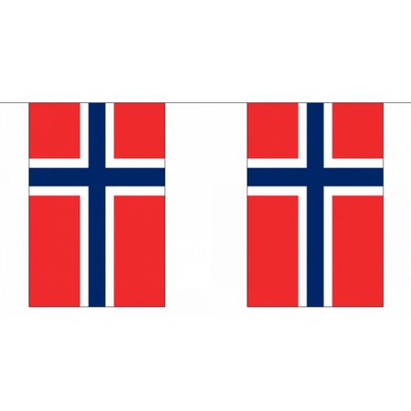 Luxe Noorwegen vlaggenlijn 9 m