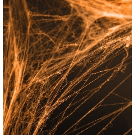 Oranje spinnenweb decoratie met 2 spinnen