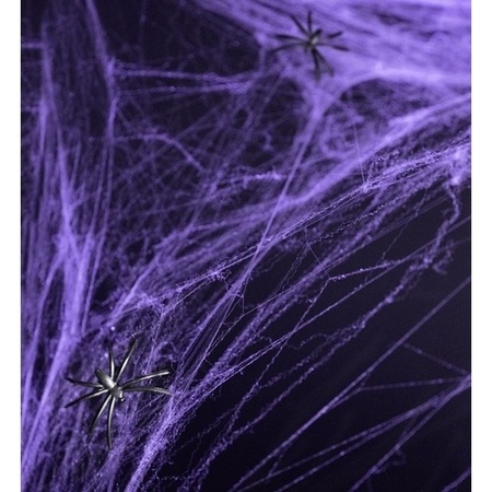Paarse spinnenweb decoratie met 2 spinnen