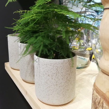 Plantenpot/bloempot Cindy - wit - keramiek - cilinder - D17 x H17 cm