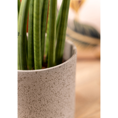 Plantenpot/bloempot Cindy - wit - keramiek - cilinder - D17 x H17 cm