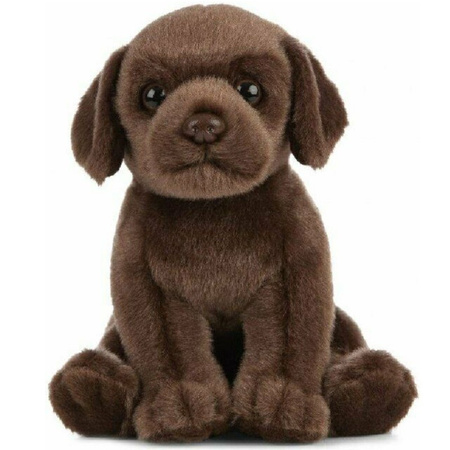 verjaardag Spuug uit De Alpen Pluche bruine Labrador hond/honden knuffel 16 cm speelgoed - * Honden  artikelen - Bellatio warenhuis