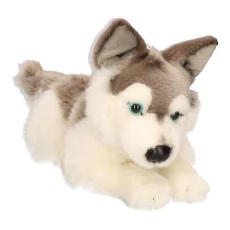 Pluche Husky hond knuffel 30 cm