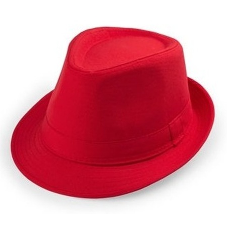 Carnaval verkleedkleding set - hoedje en party zonnebril - rood - volwassenen