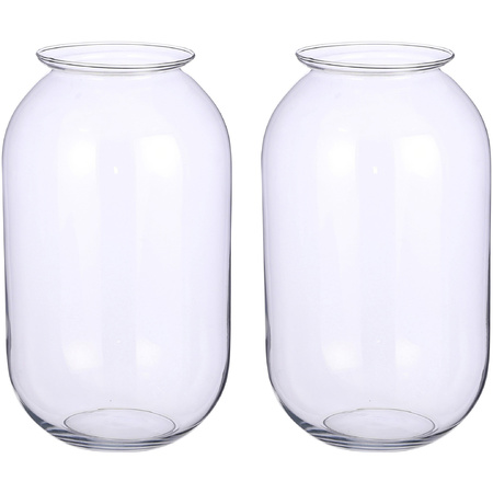 Set van 2x stuks transparante ronde vaas/vazen van glas 19 x 30 cm