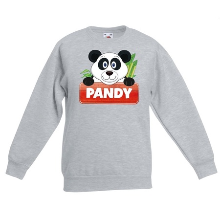 Sweater grijs voor kinderen met Pandy de panda
