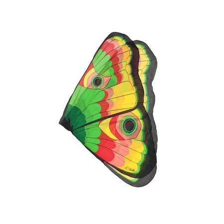 Gekleurde vlinder verkleedset voor meisjes