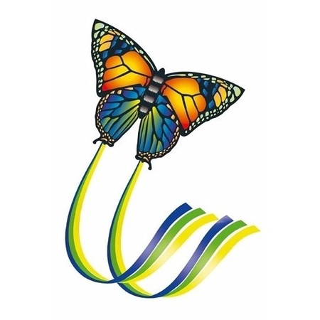 Vlinder vlieger gekleurd 65 x 63 cm