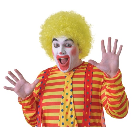 Clown verkleed set volwassenen - Pruik/schmink/handschoenen/hoed